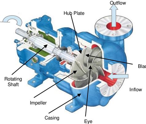 schematic diagram of centrifugal pump|main parts of centrifugal pump.